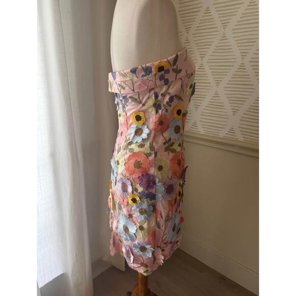 NWT Gigi & Ella Size 8 Medium Wren Pink Strapless 3D Garden Flowers Dress - Picture 7 of 9